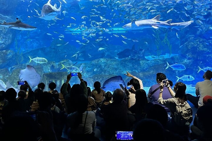 SEA LIFE COEX, Seoul Aquarium discount ticket(내국인불가) - Photo 1 of 10